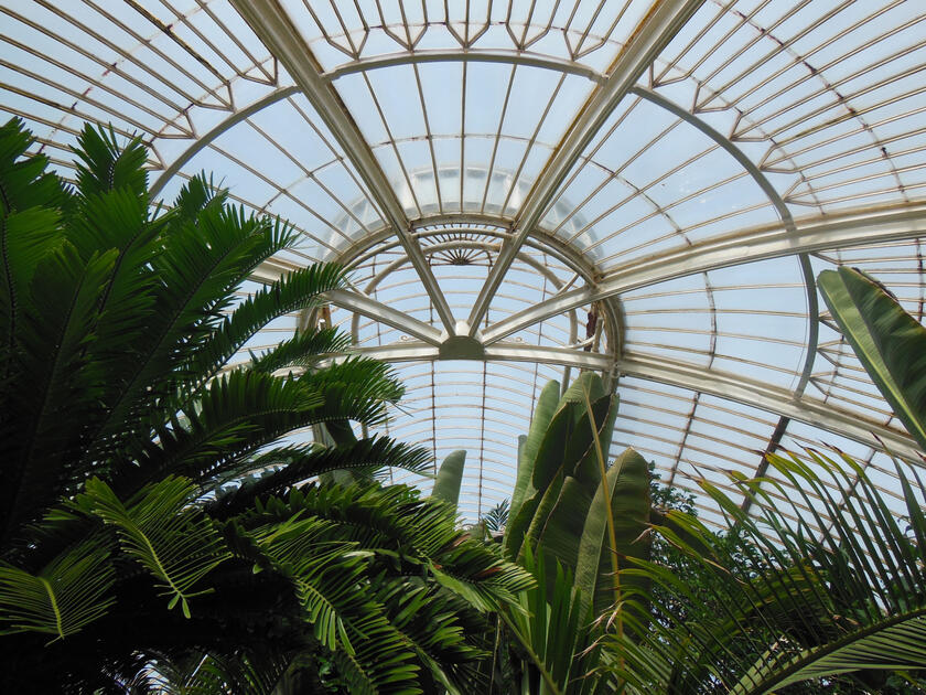Greenhouse