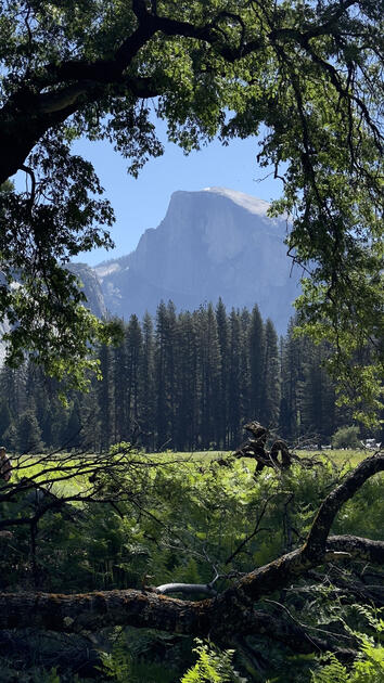 Half Dome