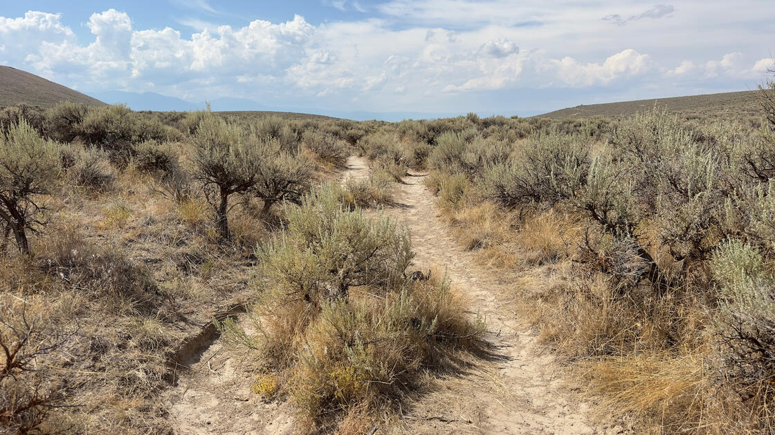 Oregon Trail